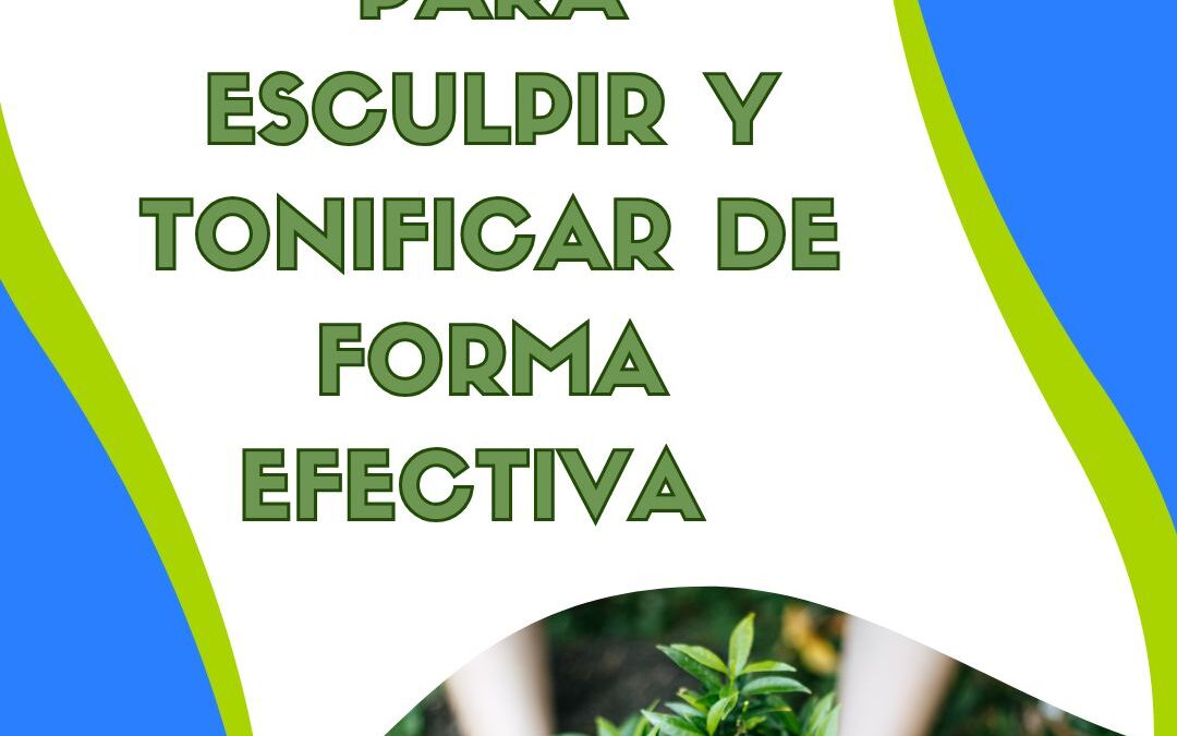 CURSO DE MADEROTERAPIA PRESENCIAL