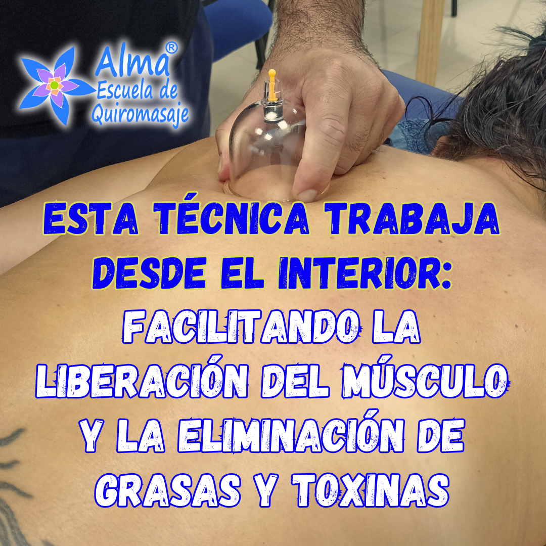 Curso de Masaje con Ventosas Presencial